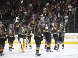 Las Vegas Knights Sports Article