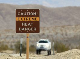 Death Valley David